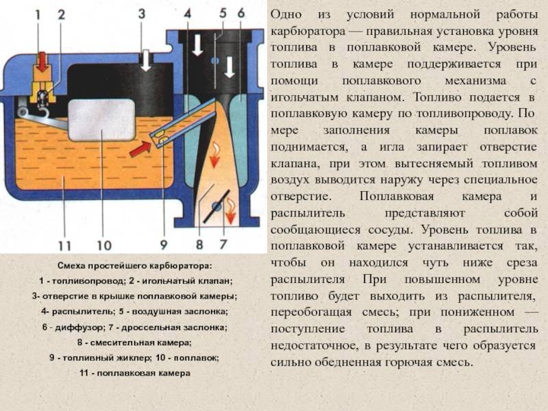 Клапан форсунка карбюратора бензопилы как проверить • evdiral.ru