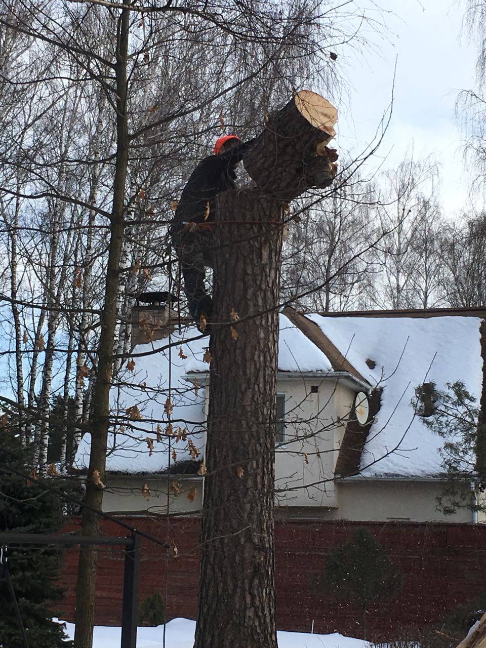 Спилить упавшее дерево