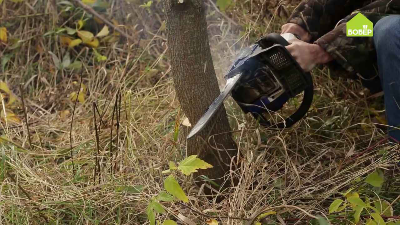 Как пилить бензопилой деревья вдоль бревна: видеоурок