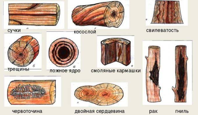 Гост 2140-81 видимые пороки древесины. классификация, термины и определения, способы измерения