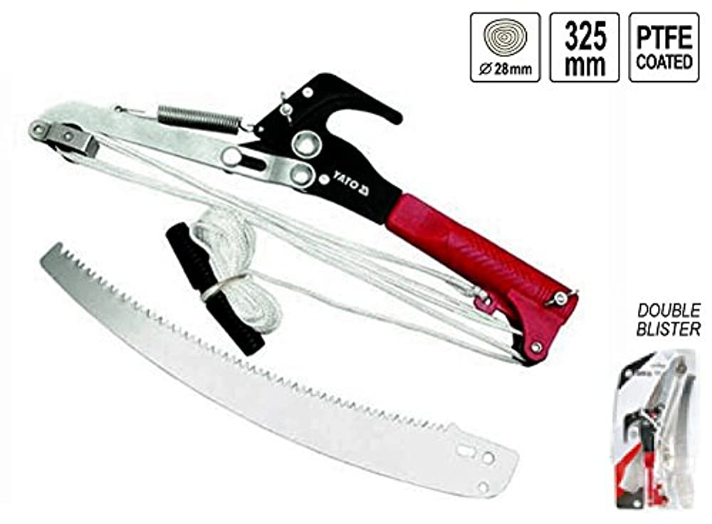 Садовые инструменты: ножовка, секатор, сучкорез.