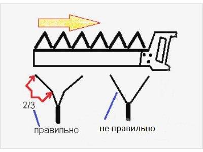 Как правильно точить и разводить пилу | строительный портал rmnt.ru | дзен