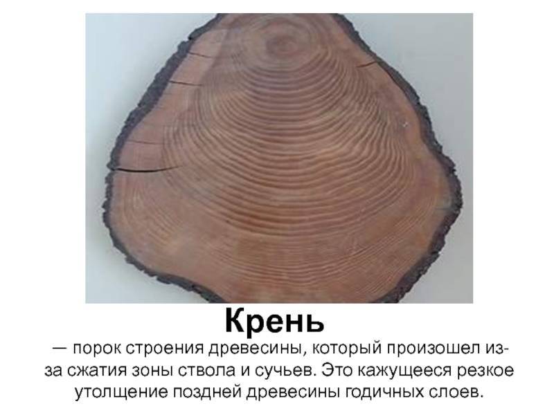 Влияние пороков древесины