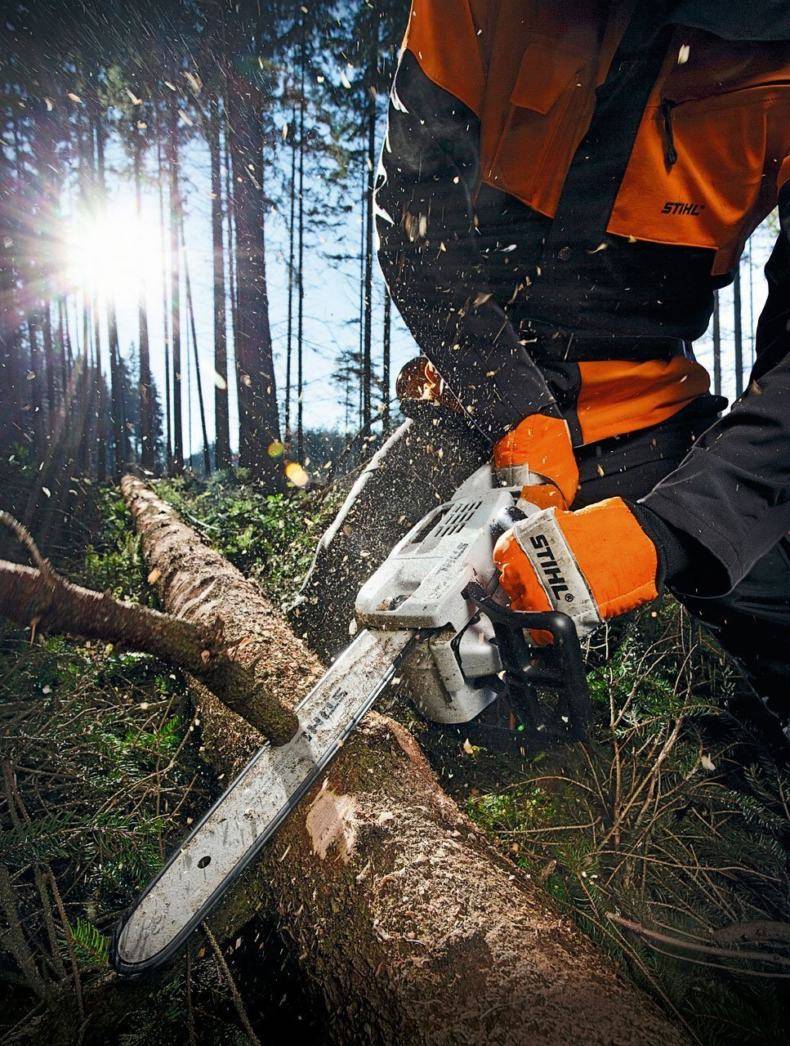 Валка леса - причины, техника выполнения, инструкции и безопасность
