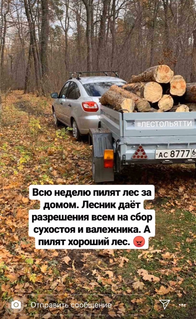 Можно ли пилить валежник в лесу на дрова 2023