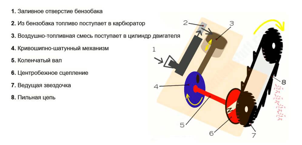 Карбюратор бензопилы мембранного типа: устройство и принцип работы, схема с описанием, отличие от поплавкового