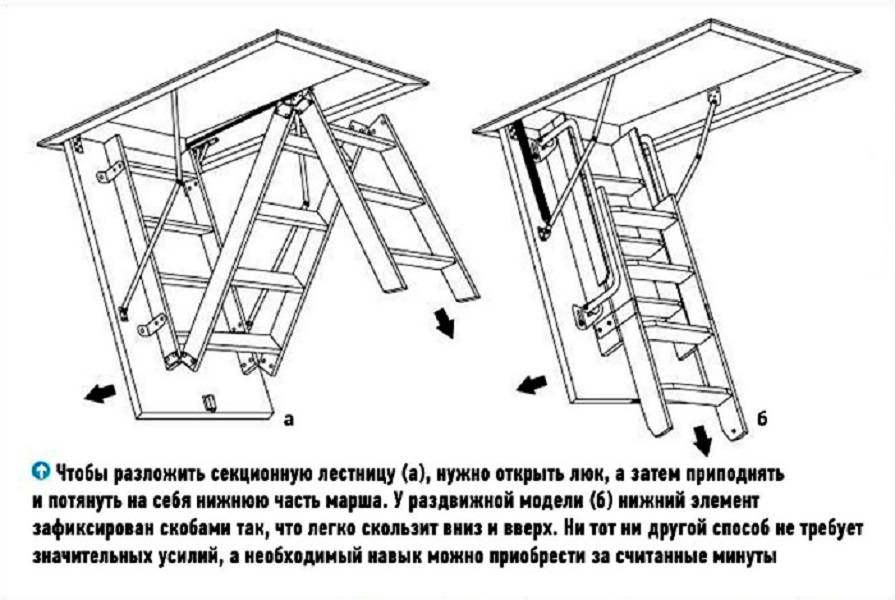 Как сделать лестницу на чердак своими руками: чертежи установки с размерами