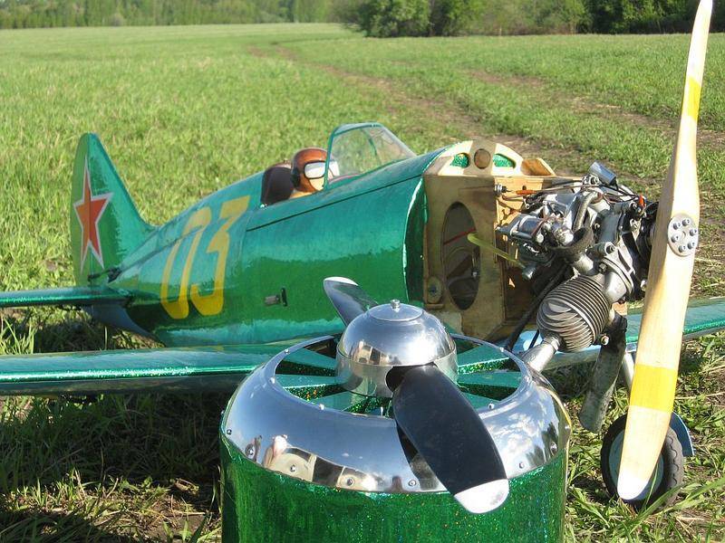 Модель самолета с двигателем от бензопилы