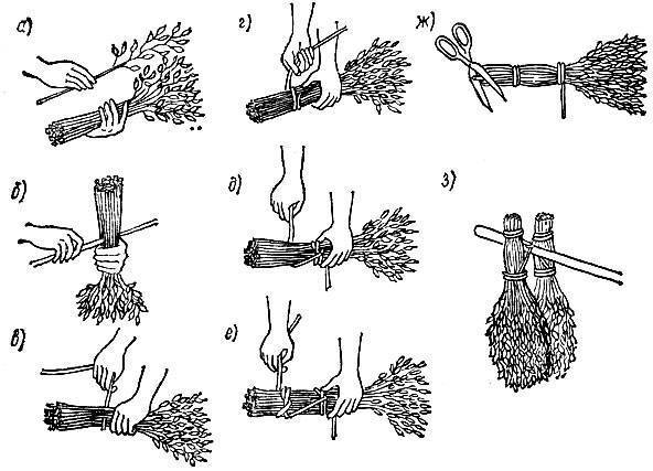Заготавливаем веники для бани: березовые, дубовые, крапивные, липовые, хвойные, правила вязки веника