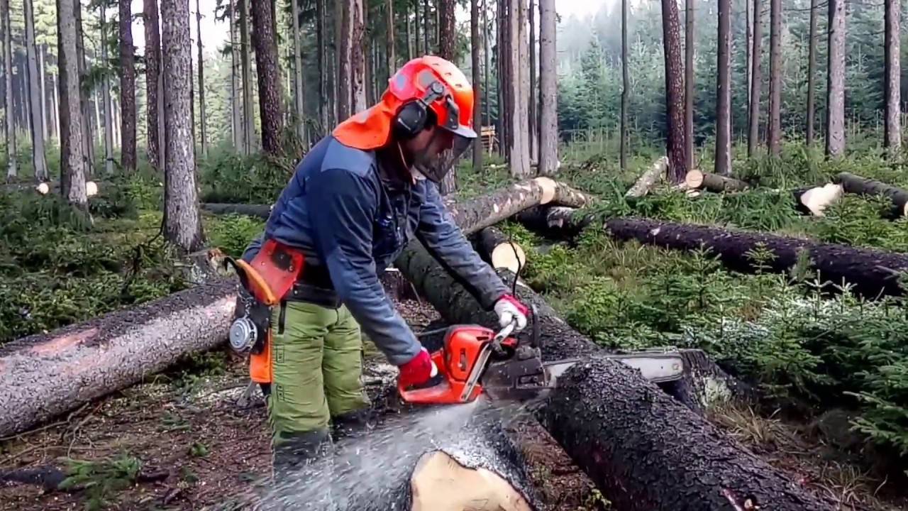 Husqvarna 136-test cutting tree (ciecie drewna)