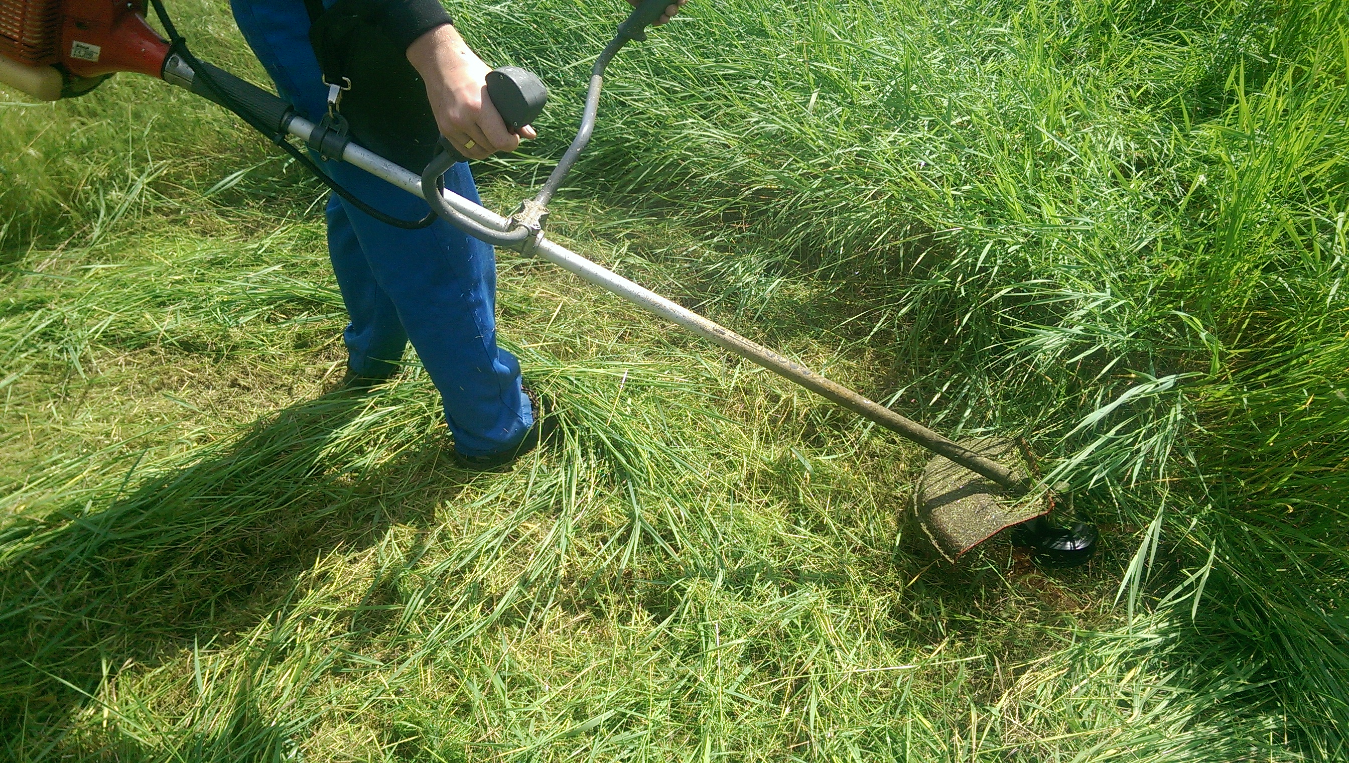 Можно ли косить мокрую траву электрическим триммером