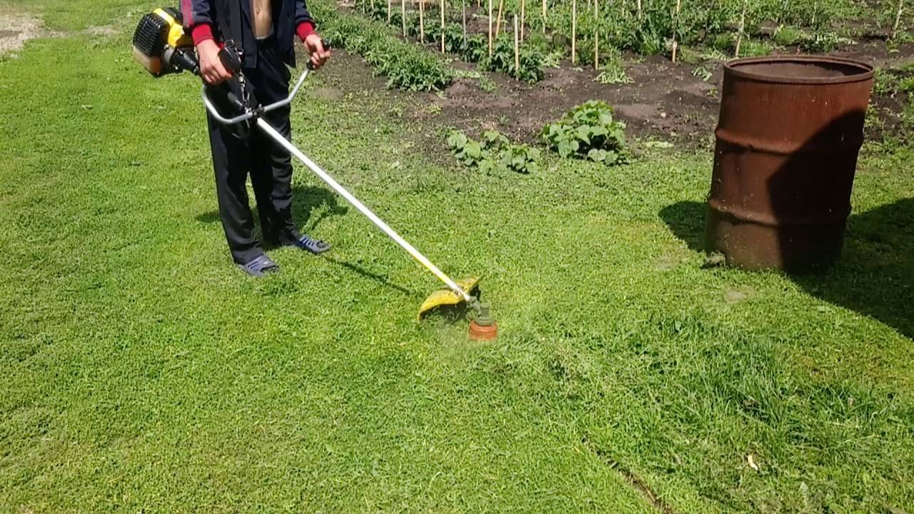 Можно ли косить мокрую траву триммером - садово парковая техника в подробностях, обзоры, тесты, сравнения