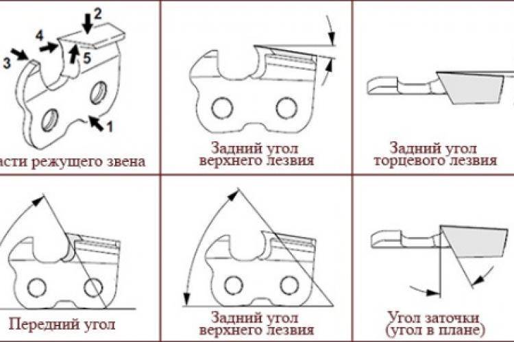 Как наточить цепь бензопилы болгаркой самому и не испортить инструмент