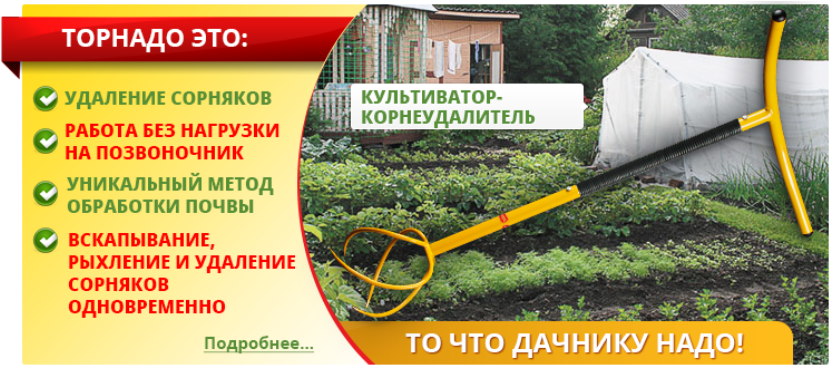Ручной культиватор-рыхлитель "торнадо" для дачи: особенности, критерии выбора, модификации