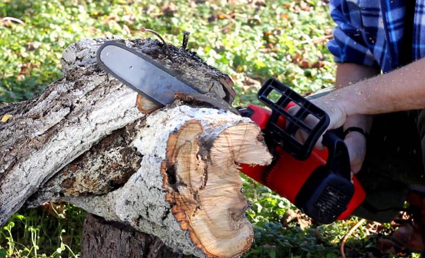 Как правильно спилить дерево бензопилой: технология пиления