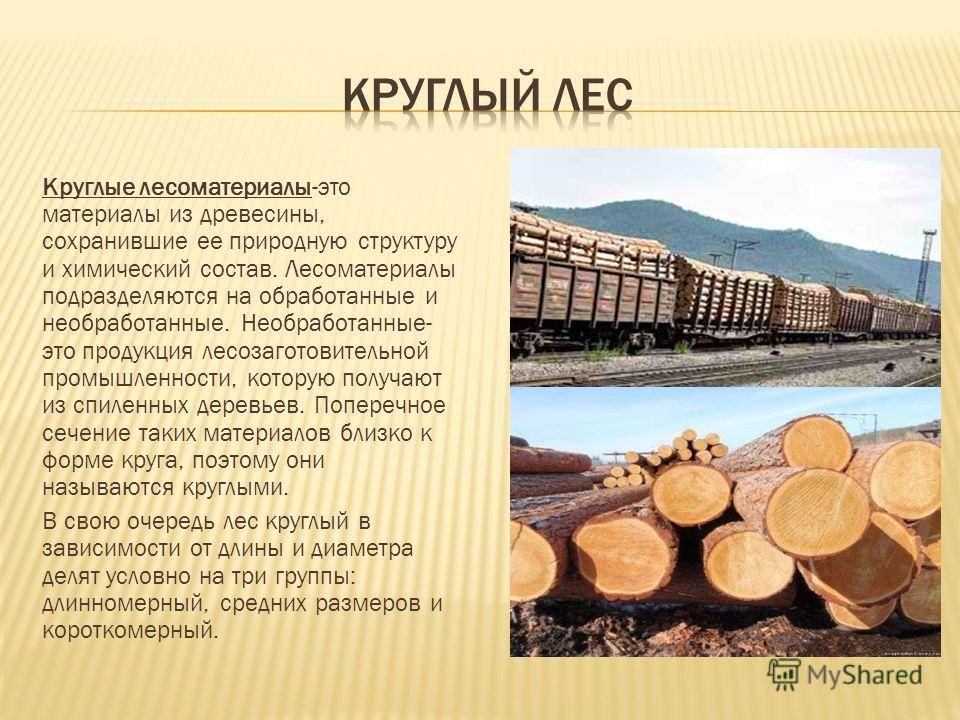 Обзор новых конструкционных материалов и сфер их применения из древесины - proderevo.net