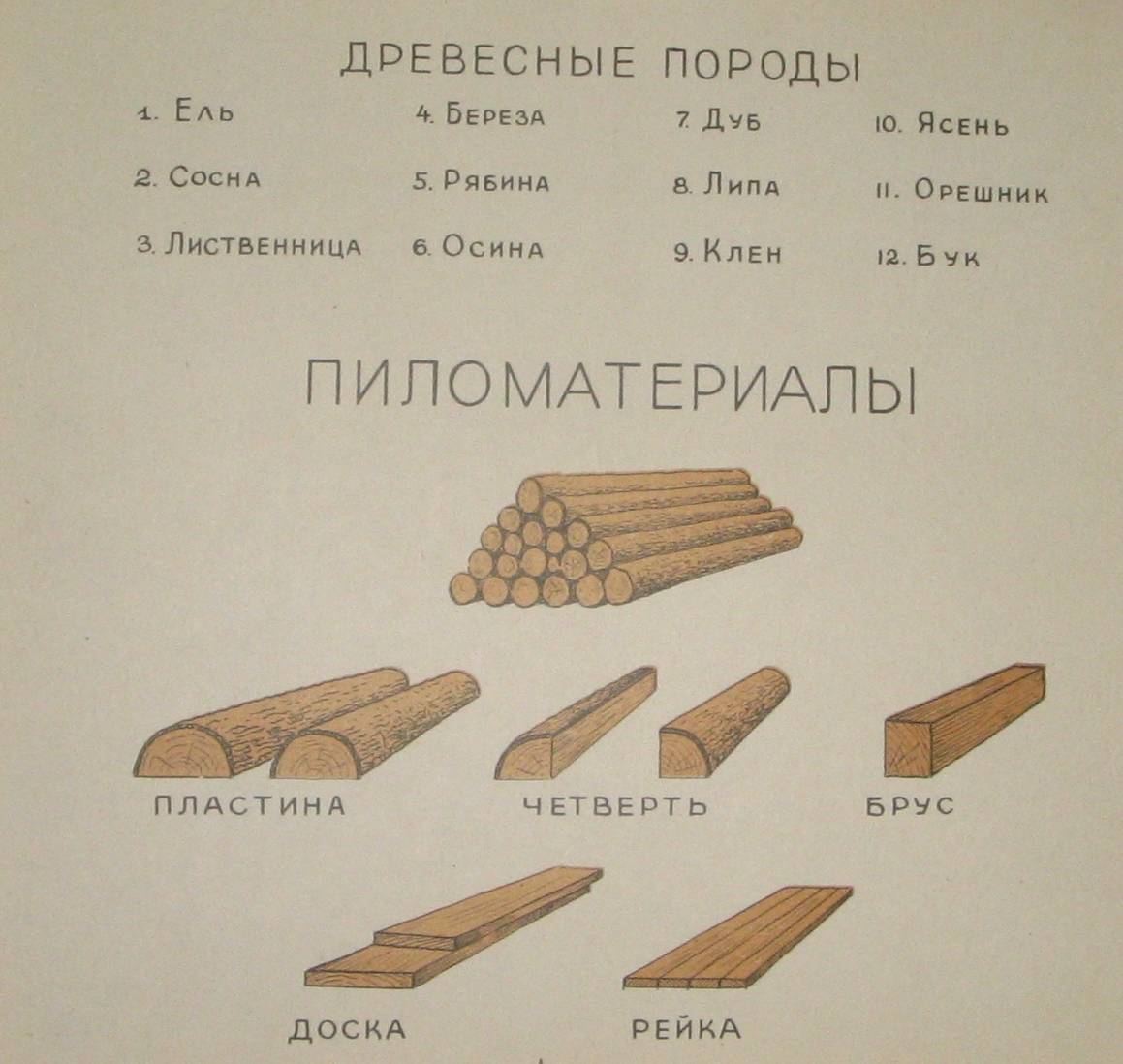 Сортамент пиломатериалов хвойных и лиственных пород