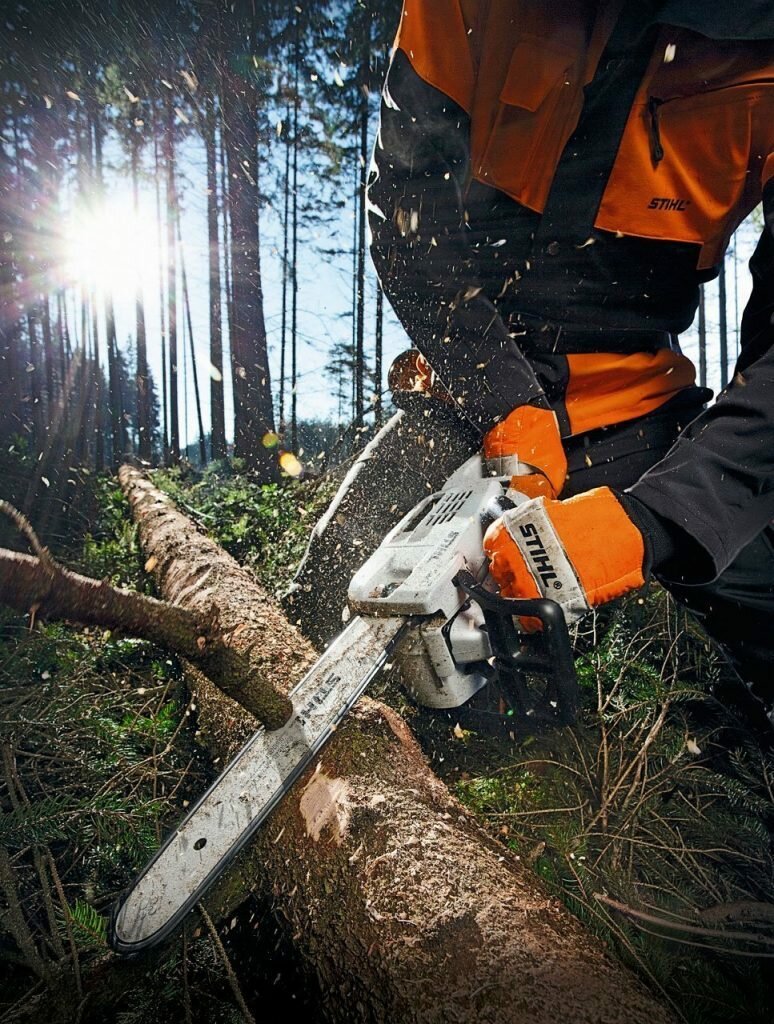 Срубить дерево на территории снт. законная вырубка деревьев на собственном участке и необходимость получения разрешения на вырубку