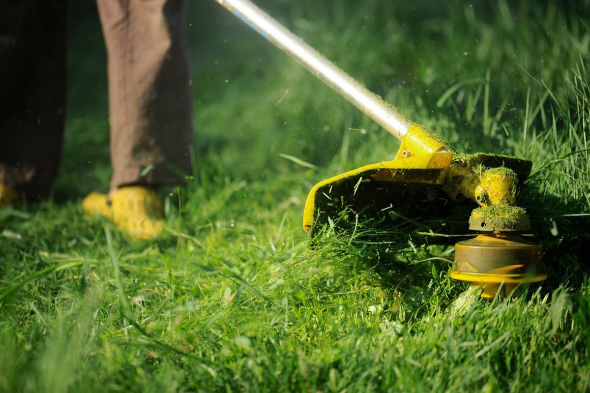 ♻ как пользоваться триммером и правильно косить траву: как работать с леской на газоне начинающим, чтобы избежать поломок