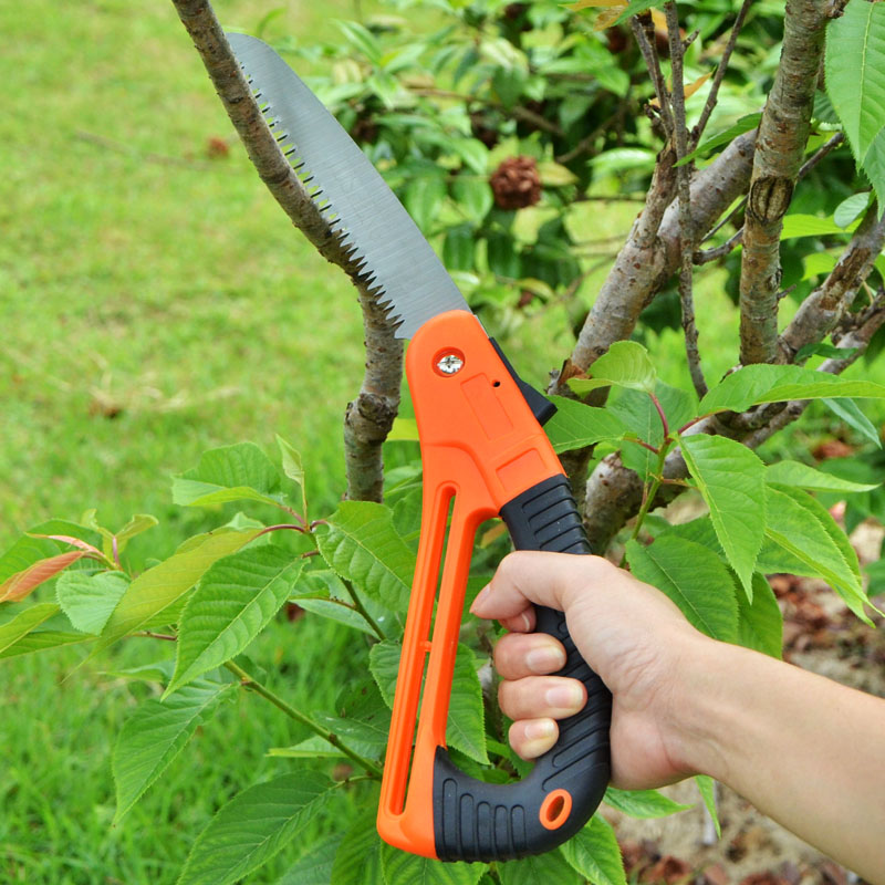 Ножовка или пила для обрезки деревьев: выбираем инструмент + видео