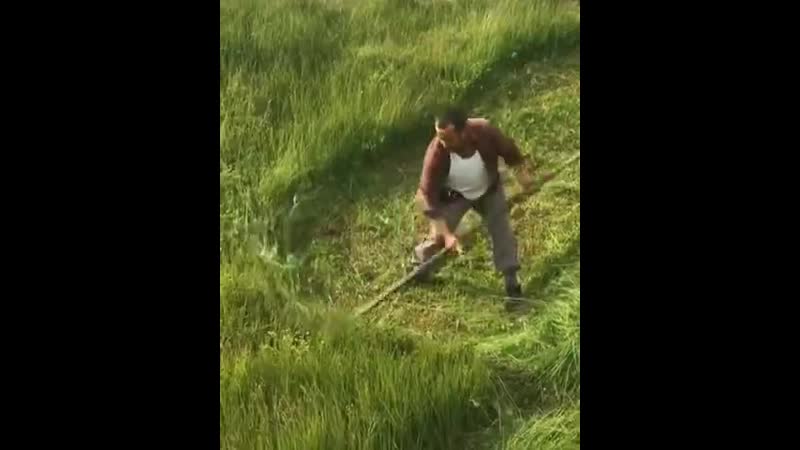 Как использовать траву со скошенного газона